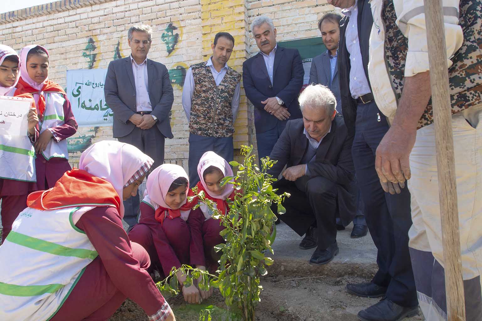 گزارش یک رویداد مسئولانه از پتروشیمی فجر/نهال کاری به مناسبت هفته درختکاری و روز شهید
