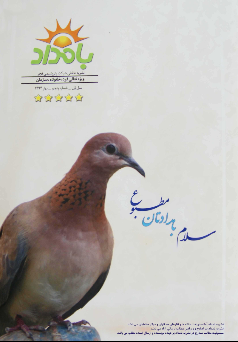 عکس بامداد 5