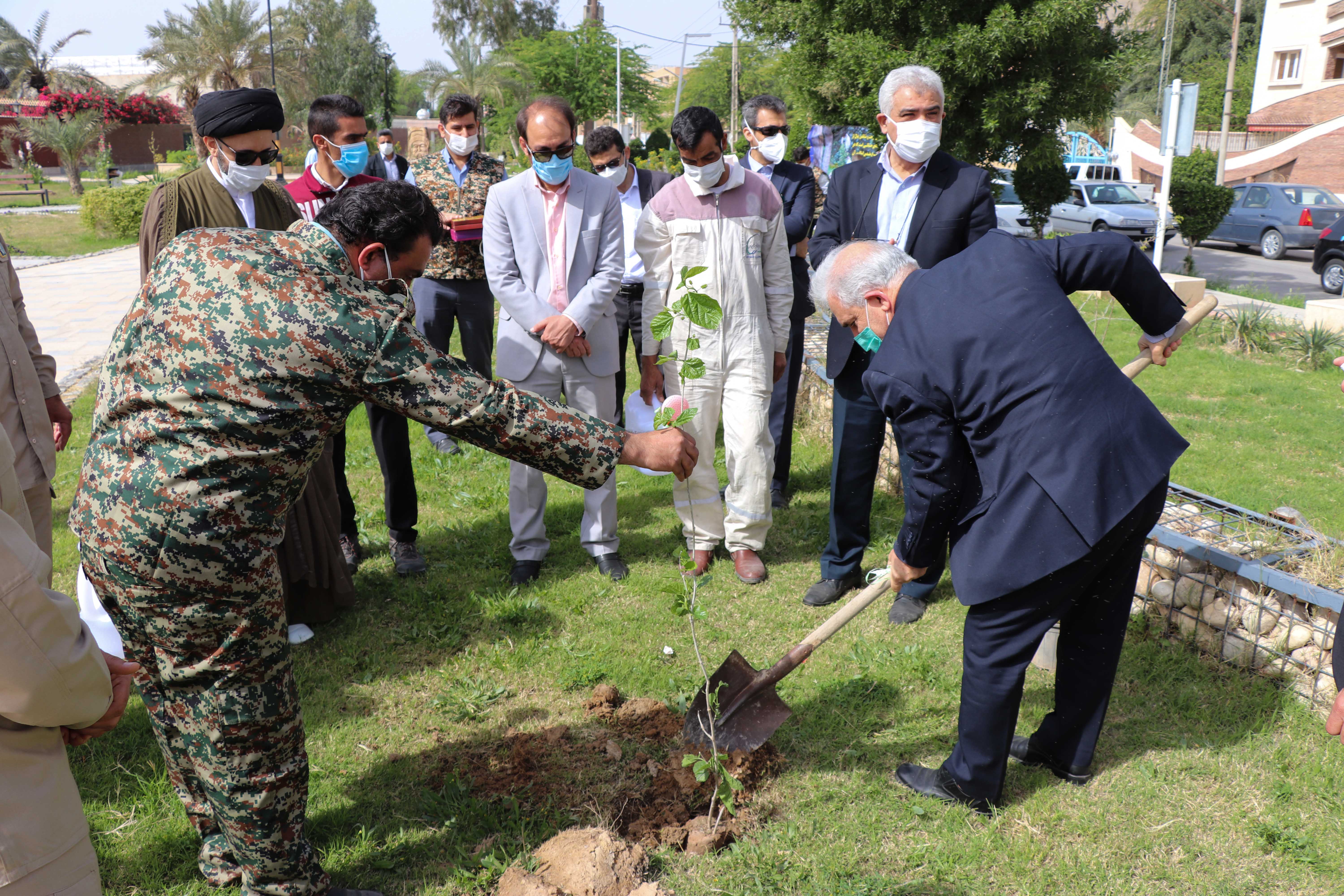 کاشت 100 نهال