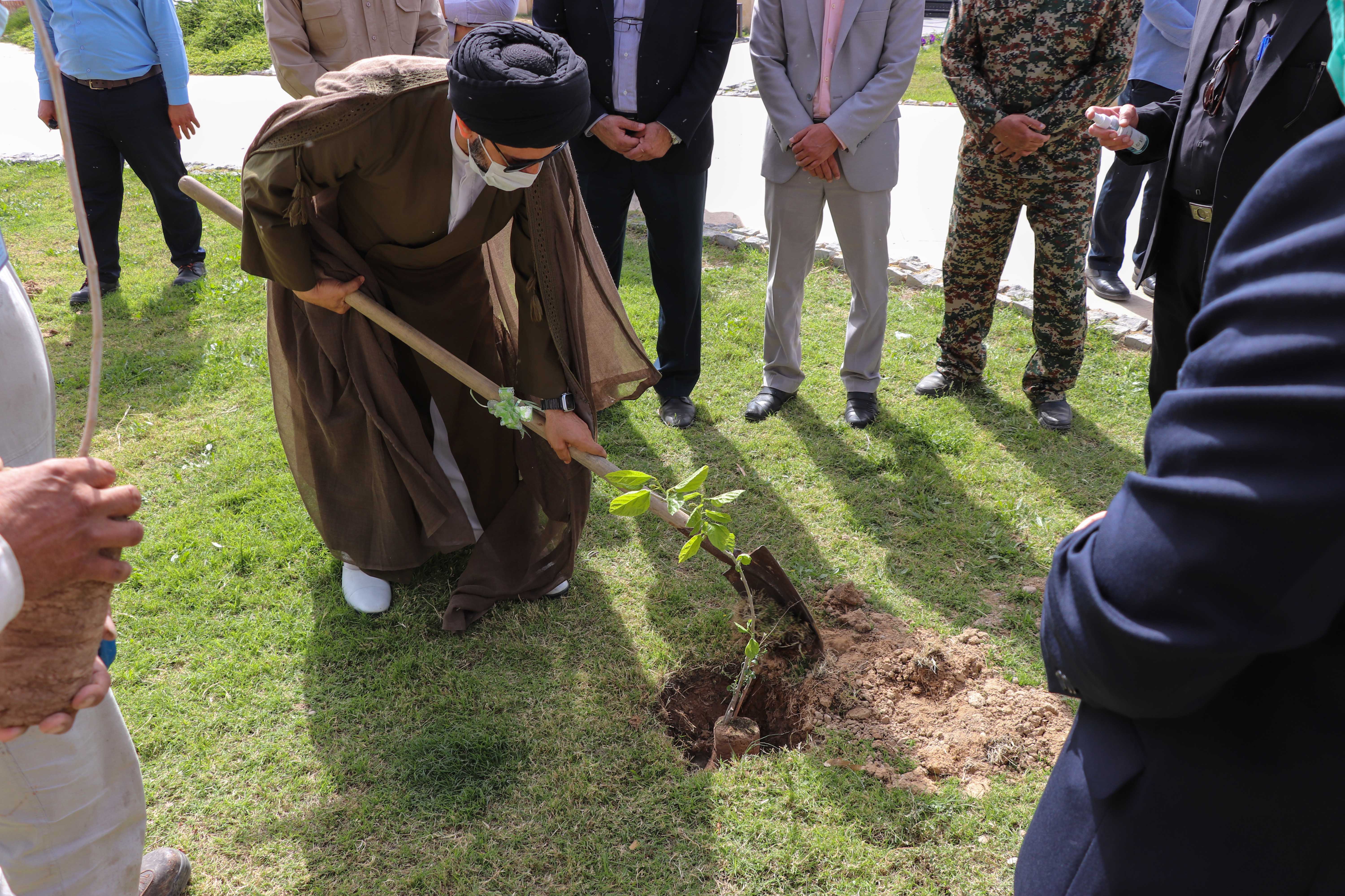 کاشت 100 نهال