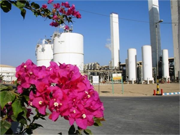 مصاحبه با یک شاعر در شرکت پتروشیمی فجر