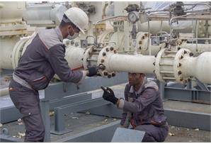 تلاش برای پایداری منطقه ویژه پتروشیمی