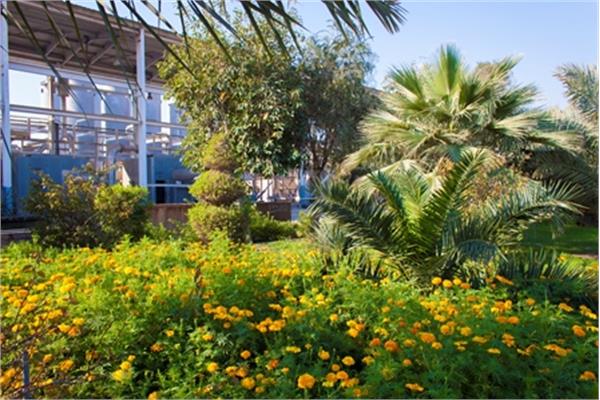 پیام تبریک مدیرعامل پتروشیمی فجر خطاب به همکاران به مناسبت سال نو