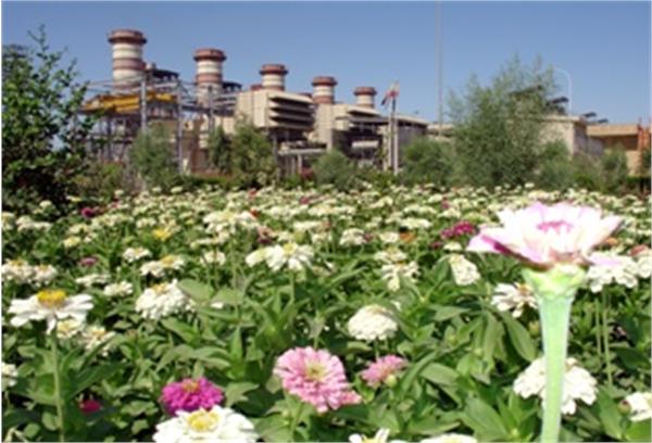 همایش پیاده روی خانواده های پتروشیمی فجر بر گزار گردید.