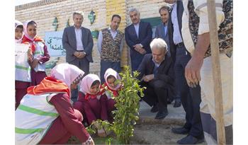 گزارش یک رویداد مسئولانه از پتروشیمی فجر/نهال کاری به مناسبت هفته درختکاری و روز شهید