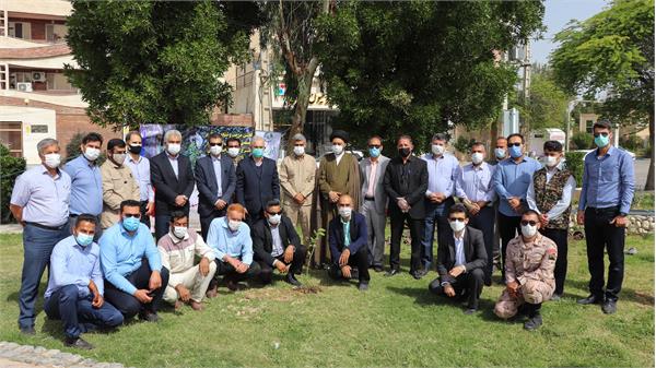 کاشت ۱۰۰ نهال مثمر در بندرماهشهر به همت فجری‌ها