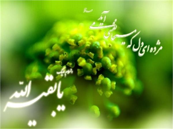 جشن ویژه نیمه شعبان در شب میلاد امام عصر(عج) انجام شد.