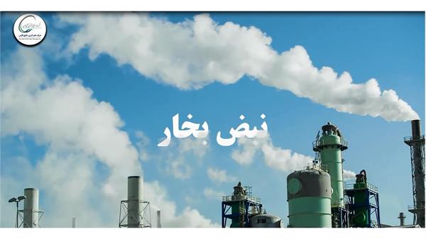 نبض بخار